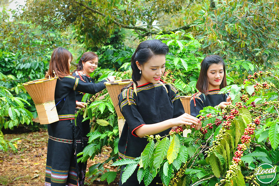 A Cup Of Coffe For The Culture Experience - Hanoi Local Food Tours