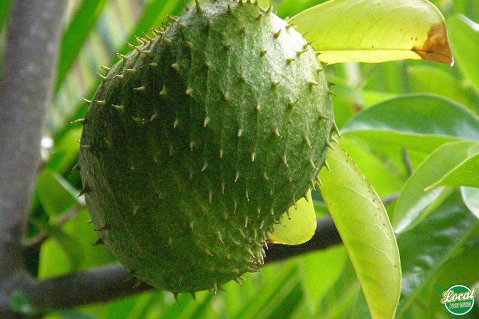 Best Tips For Those Who Love To Eat Fruits - Hanoi Local Food Tours