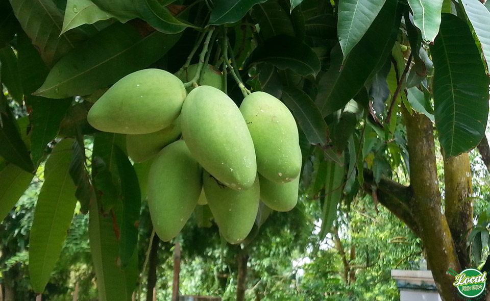 Best Tips For Those Who Love To Eat Fruits - Hanoi Local Food Tours