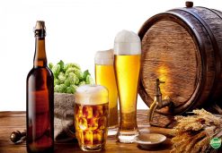 Vietnamese Beer For Your Full Experience In Vietnam - Hanoi Local Food Tours