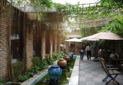 Green cafes in the heart of Hanoi