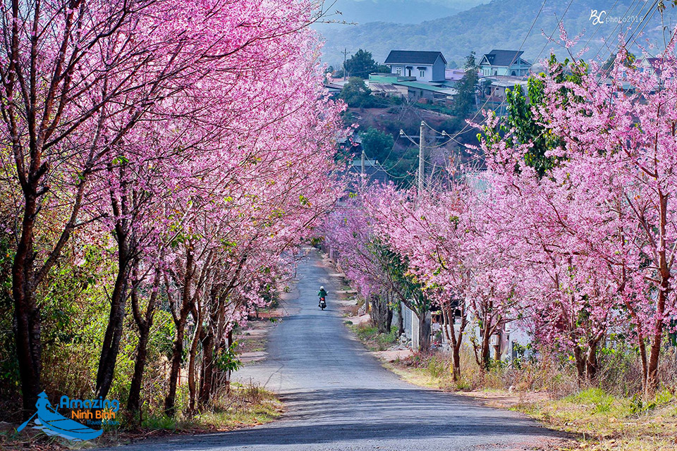 The Best Destinations For Spring Trips