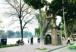 Hoa Phong Tower