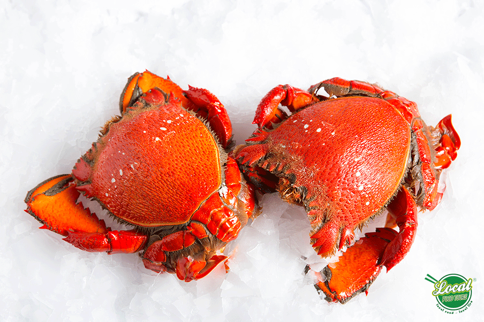 Spanner crab